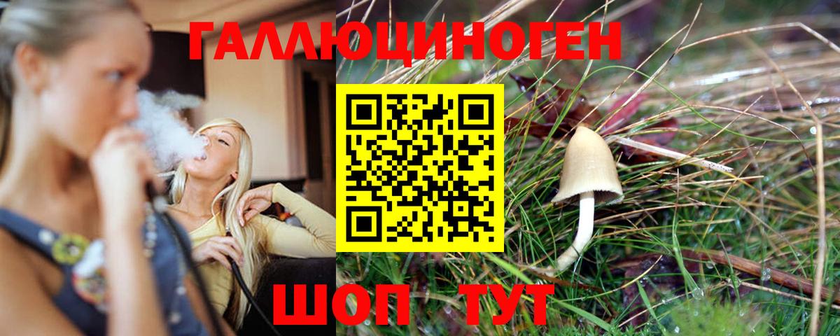 Галлюциногенные грибы MAGIC MUSHROOMS  Вход с VPN  Курчалой 