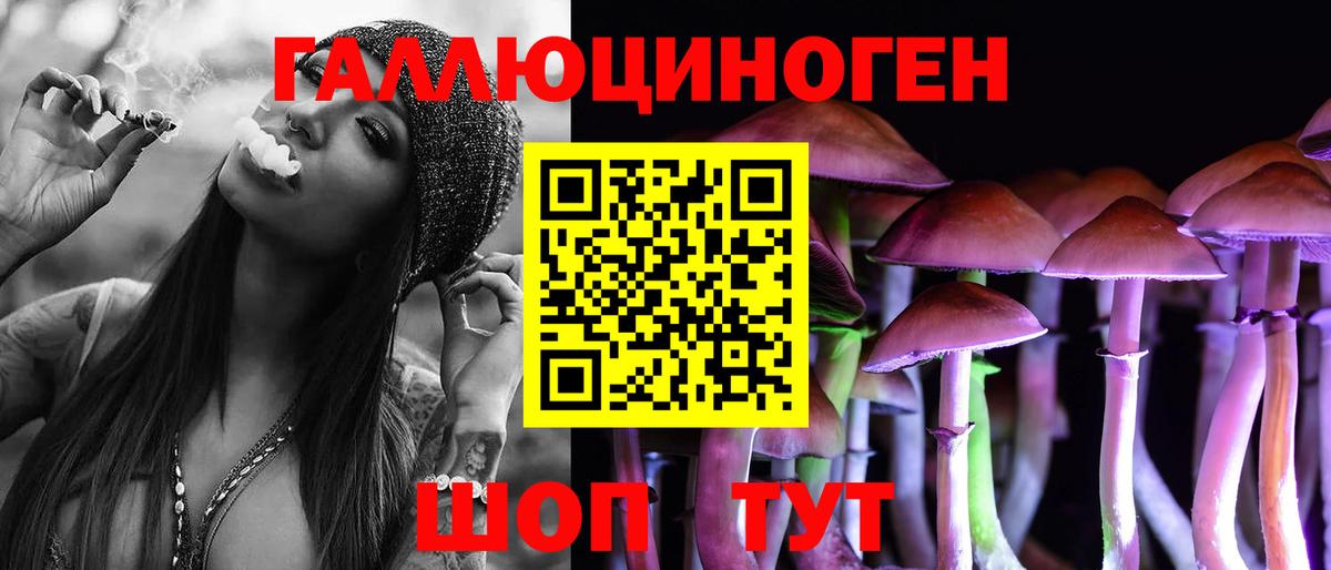 Галлюциногенные грибы Magic Shrooms Курчалой